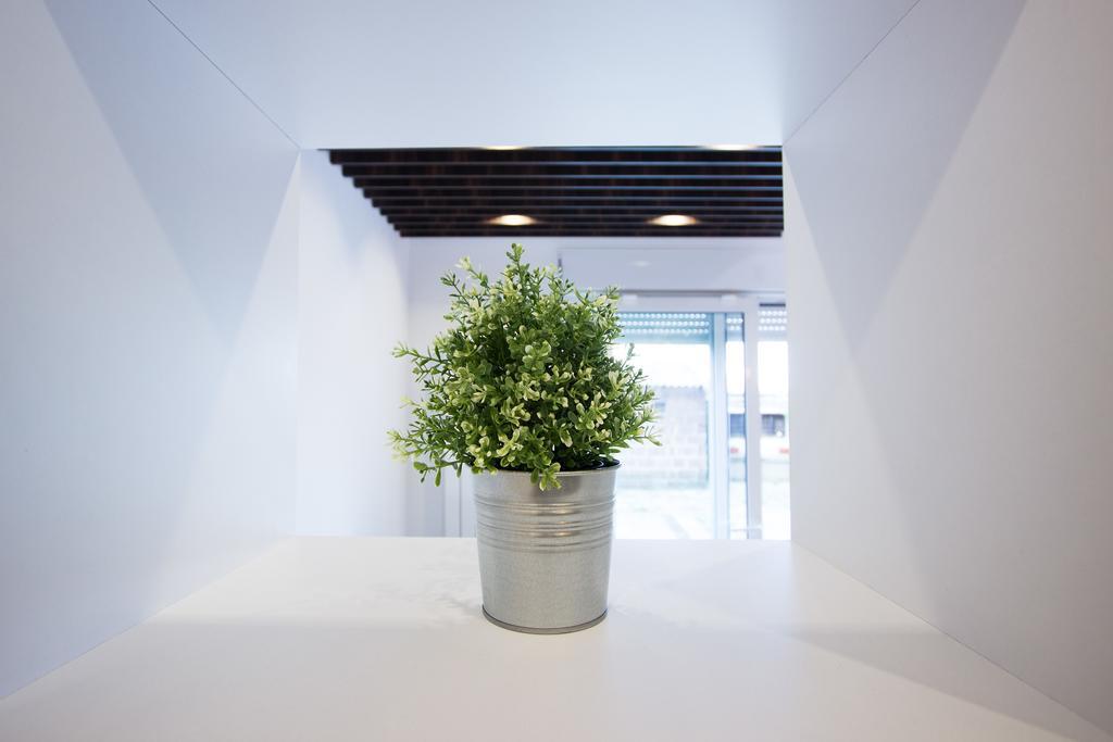 The Boutique Apartment 贝尔格莱德 客房 照片